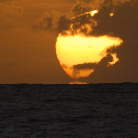 日蝕直前の日の出