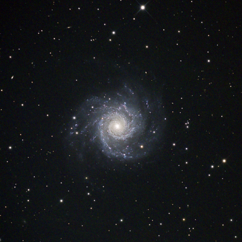 M74