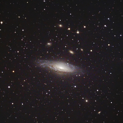 NGC7331