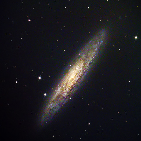 NGC253