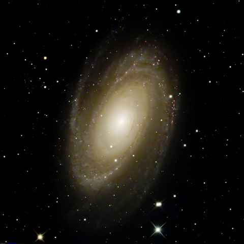 M81