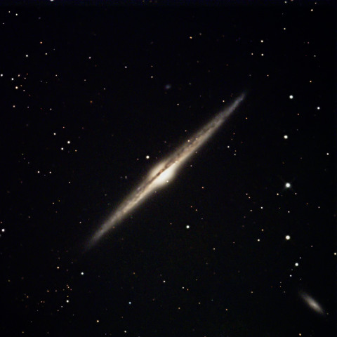 NGC4565