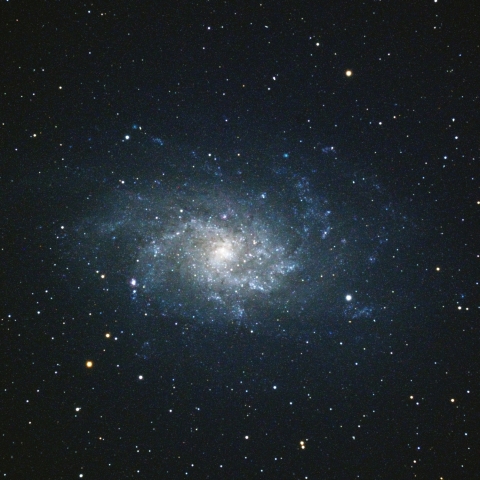 M33