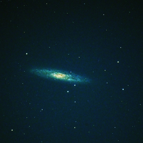 NGC253