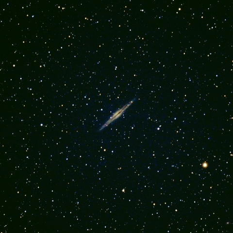 NGC891
