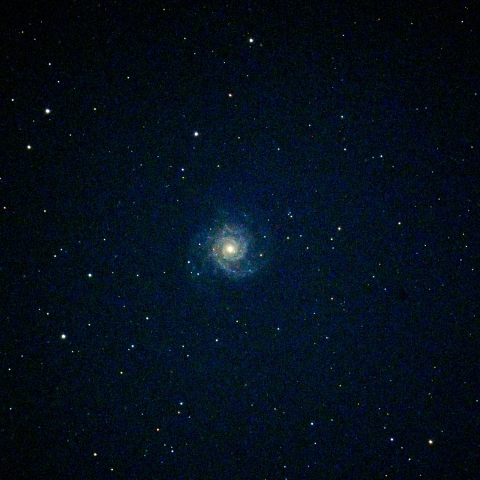 M74