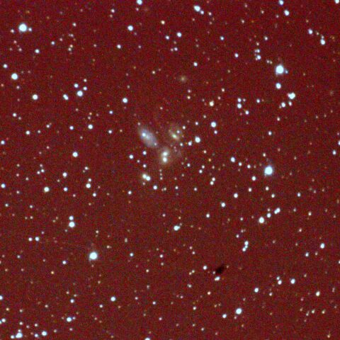 ステファンの5つ子