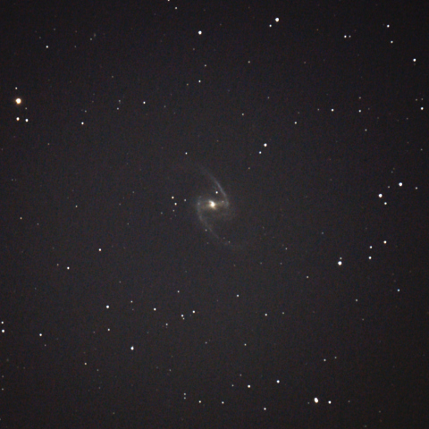 NGC1365