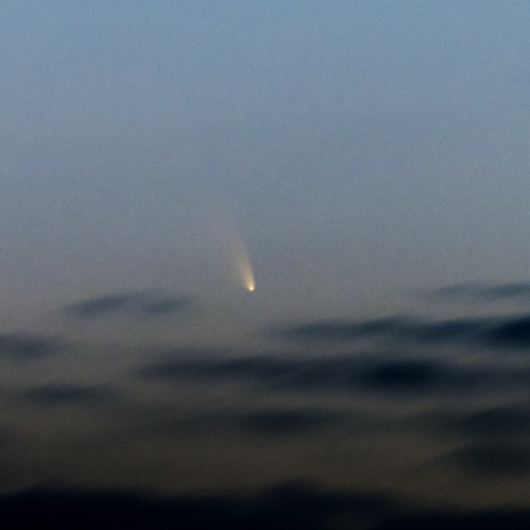 パンスターズ彗星 (C/2011 L4)