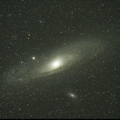 秋の定番「M３１」