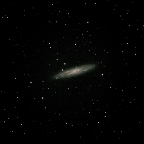 NGC253