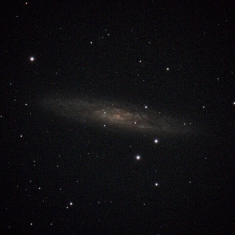 NGC253