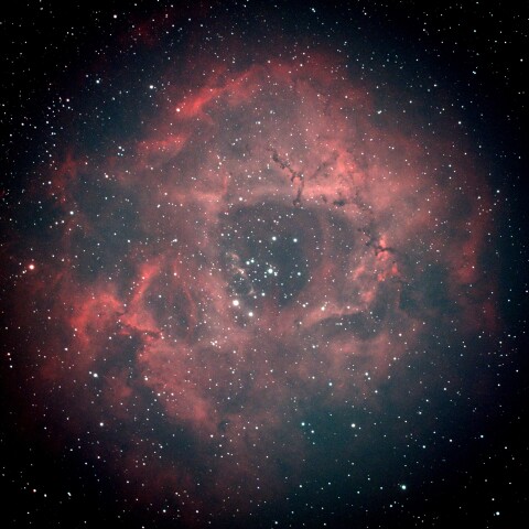 バラ星雲@足立区