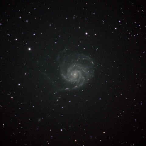 M101