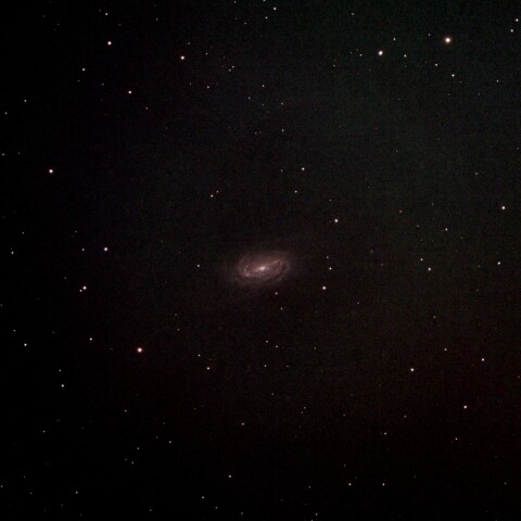 NGC2903@足立区