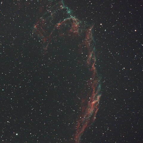 網状星雲 in 足立区