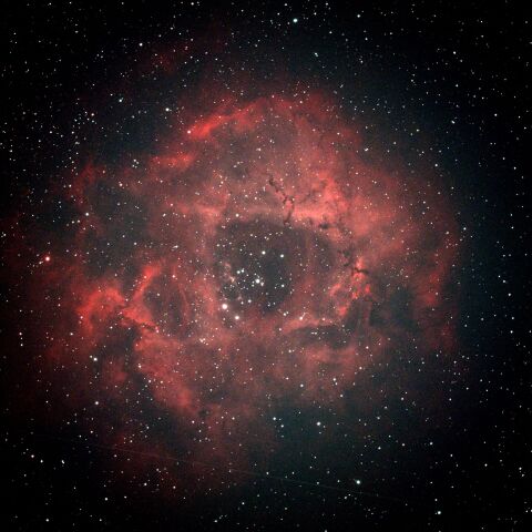 バラ星雲 in 足立区