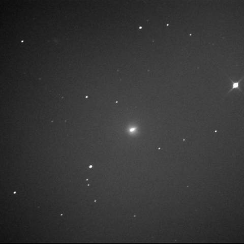 Ikeya-Murakami彗星