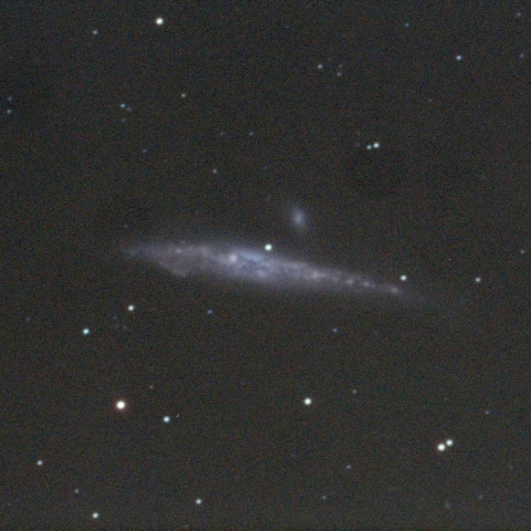 NGC4631 クジラ銀河