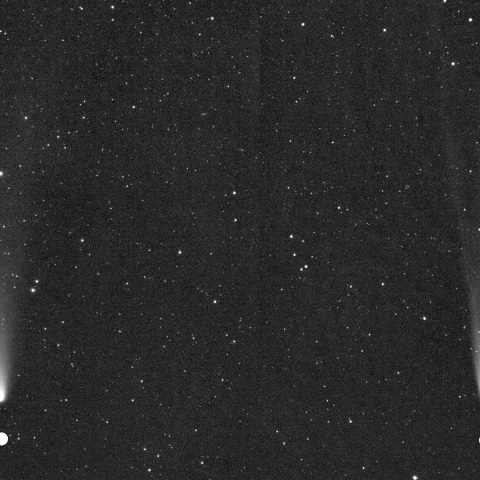 C/2025A6 レモン彗星 2025/11/3 #2