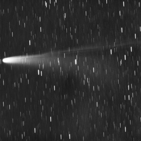 C/2025A6 レモン彗星 2025/11/3 #3