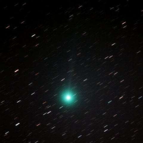 2014_12_28 C/2014 Q4 ラブジョイ彗星