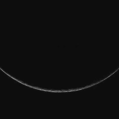 夜明けの受け月