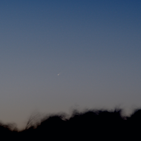 紫金山・ATLAS彗星