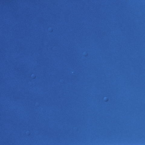 紫金山・ATLAS彗星