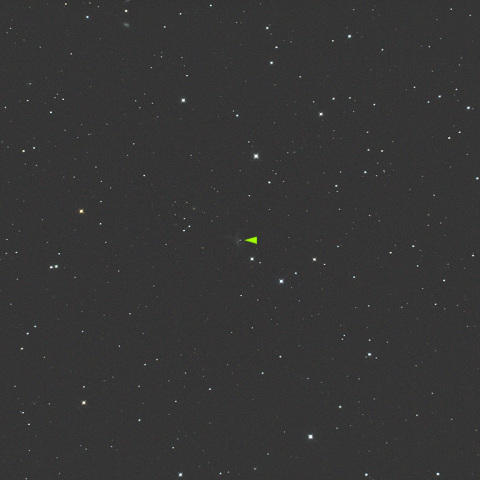 NGC3447の超新星(2012ht)