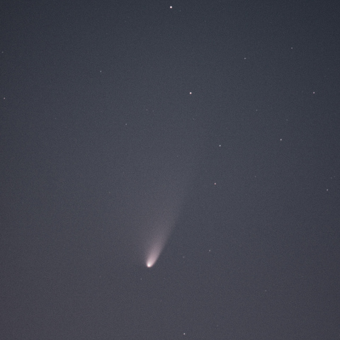 パンスターズ彗星(C/2011L4)