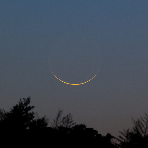 左下から照らされた夕月