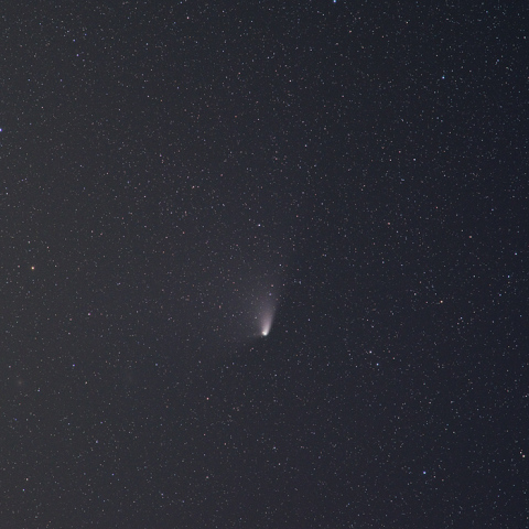 パンスターズ彗星(C/2011L4)