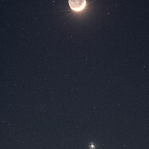 月・金星・M35の会合