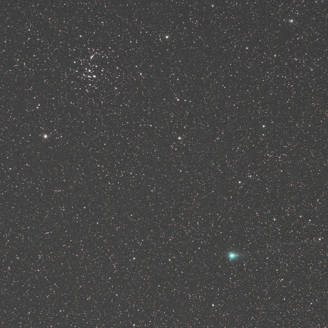 プレセペに接近するラブジョイ彗星