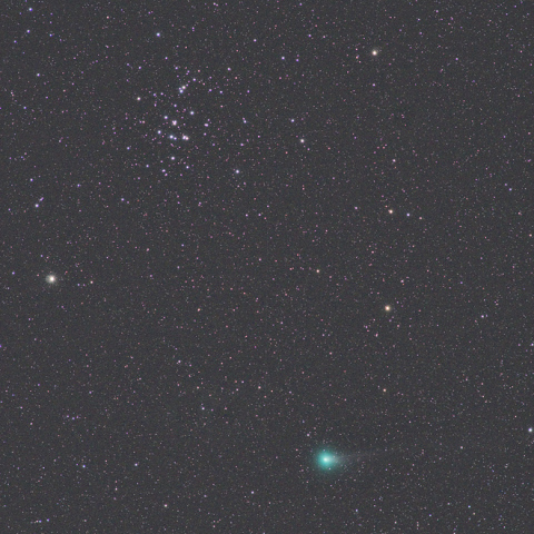 プレセペに接近するラブジョイ彗星