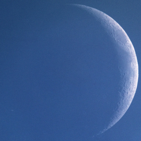 昼間の土星食（潜入直前）