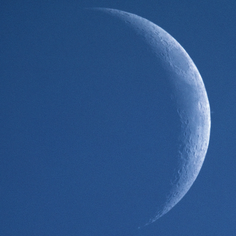 昼間の土星食（出現直後）