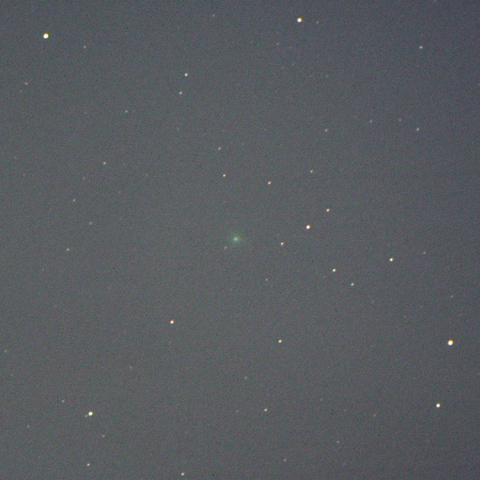 マスター彗星（C/2015G2）