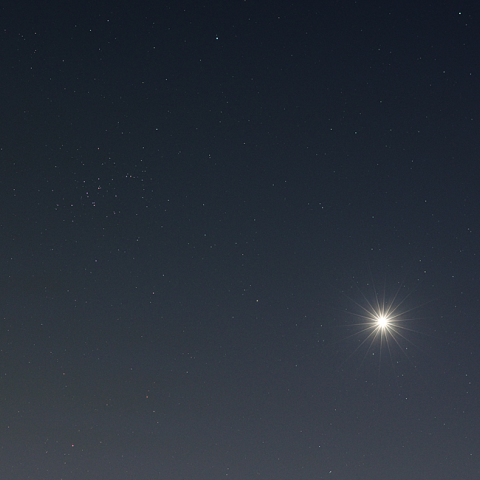 金星とプレセペ星団の接近