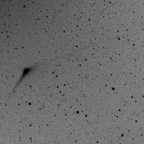 カタリナ彗星（C/2013US10）