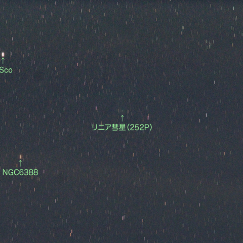 明け方に見えてきたリニア彗星（252P）