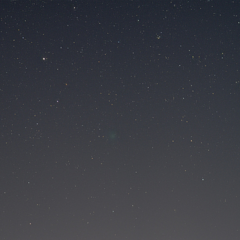 明け方に見えてきた本田・ムルコス・パイドゥシャーコヴァー彗星