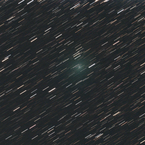 本田・ムルコス・パイドゥシャーコヴァー彗星