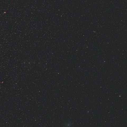 接近したジョンソン彗星と本田・ムルコス・パイドゥシャーコヴァー彗星