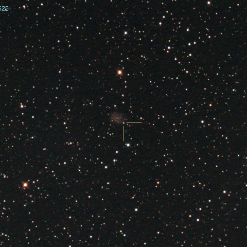 SN2018gv in NGC2525