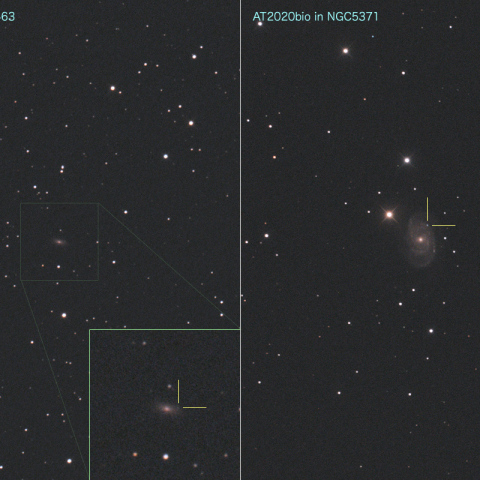 AT2020bijとAT2020bio