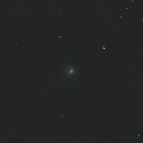 レモン彗星（C/2019 U6）