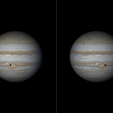 きょろきょろジュピター