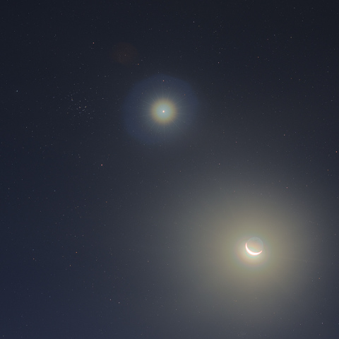 金星・月・プレセペ星団の接近